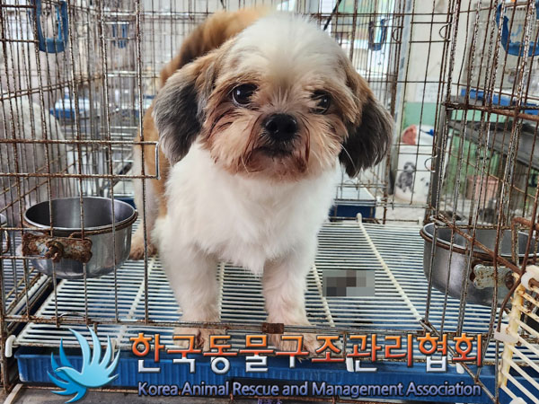 한국동물구조관리협회_411304202300621